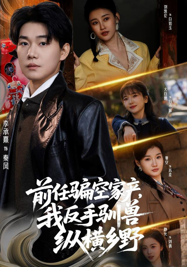 五姑娘影视剧集《雾港档案》海报
